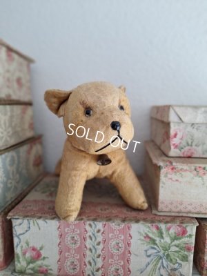 画像14: フレンチドッグ