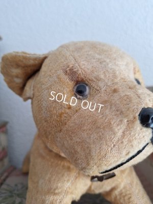 画像6: フレンチドッグ