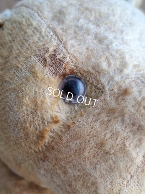 画像4: フレンチドッグ