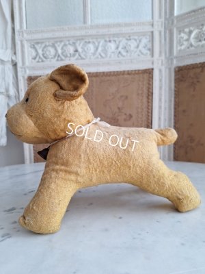 画像16: フレンチドッグ