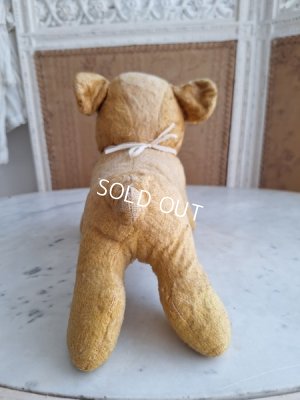 画像17: フレンチドッグ