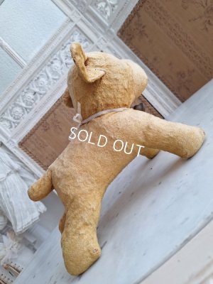 画像18: フレンチドッグ