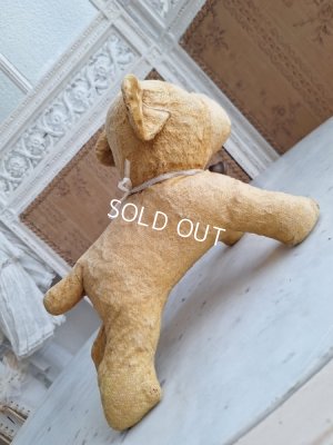 画像19: フレンチドッグ