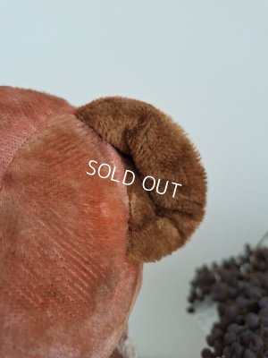 画像15: フレンチピンクテディベア