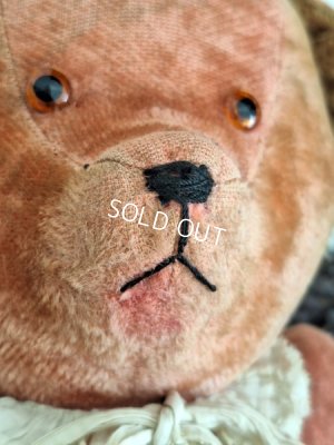 画像4: フレンチピンクテディベア