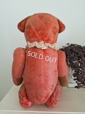 画像19: フレンチピンクテディベア
