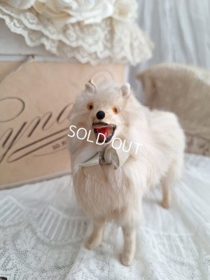 louloudog