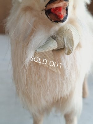 画像6: アンティークLouLouドッグ