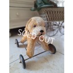 画像: 車輪付フレンチ犬