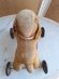 画像15: 車輪付フレンチ犬
