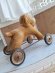 画像10: 車輪付フレンチ犬