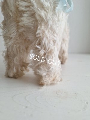 画像9: ウエストハイランドホワイトテリアぬいぐるみ