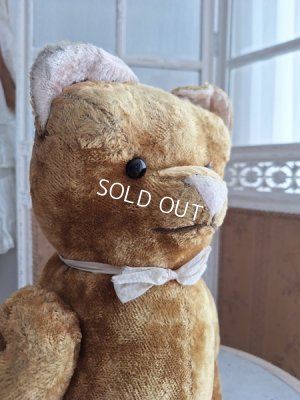 画像4: JPMテディベア