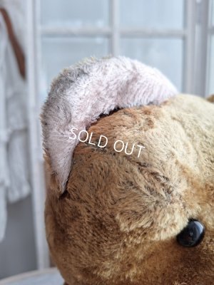 画像6: JPMテディベア