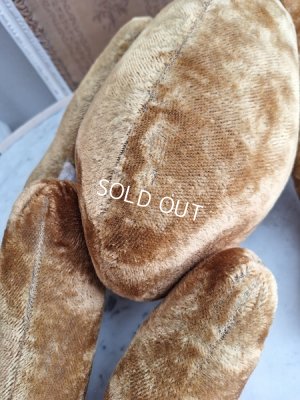 画像9: JPMテディベア