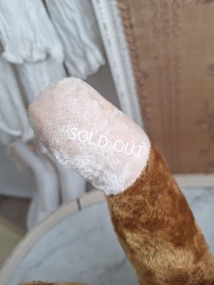 画像16: JPMテディベア