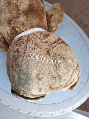 画像18: JPMテディベア