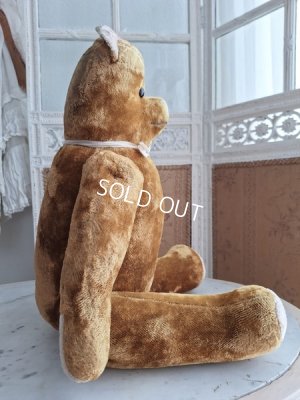 画像14: JPMテディベア