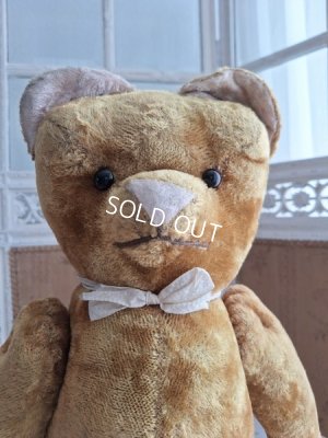 画像2: JPMテディベア