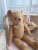 frenchteddybear
