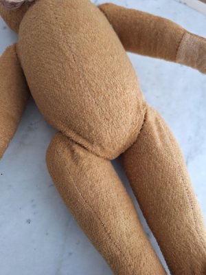 画像14: フレンチテディベア