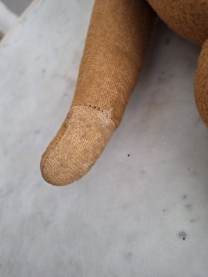 画像15: フレンチテディベア