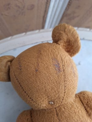 画像11: フレンチテディベア