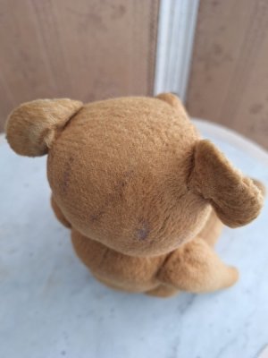 画像12: フレンチテディベア