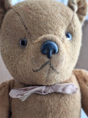 画像4: フレンチテディベア