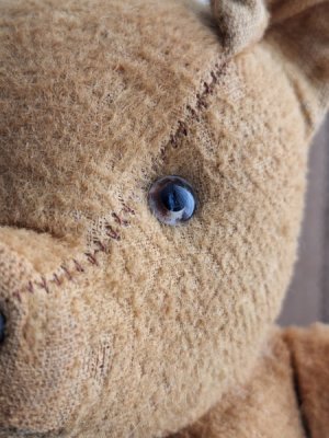 画像5: フレンチテディベア