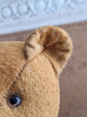 画像6: フレンチテディベア