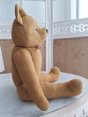 画像8: フレンチテディベア