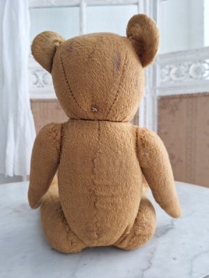 画像9: フレンチテディベア