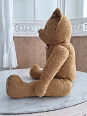 画像10: フレンチテディベア