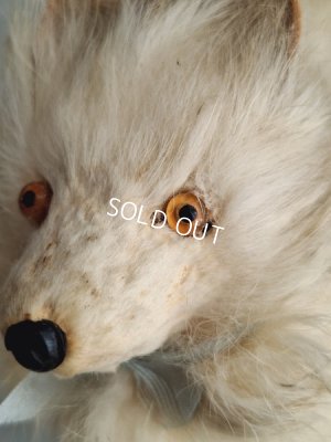 画像8: Lou Louドッグキャンディコンテナー