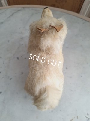 画像18: Lou Louドッグキャンディコンテナー