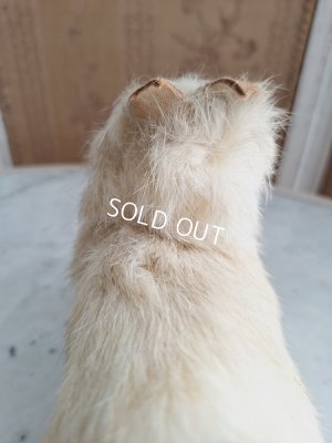 画像19: Lou Louドッグキャンディコンテナー