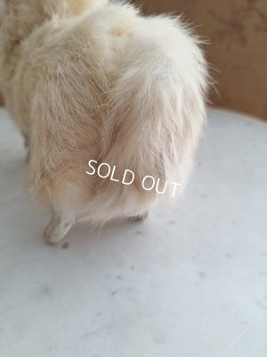 画像20: Lou Louドッグキャンディコンテナー