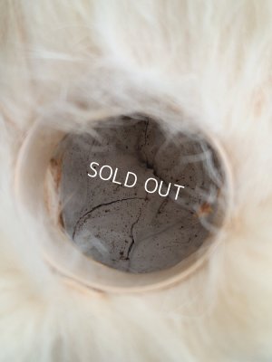 画像17: Lou Louドッグキャンディコンテナー