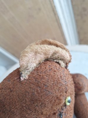 画像18: アンティークフレンチテディベア