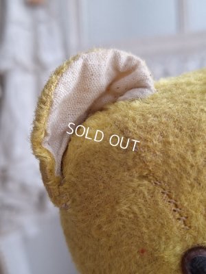 画像7: フレンチテディベア