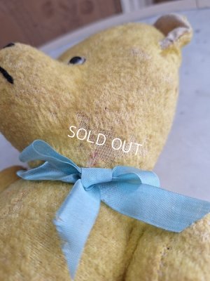 画像12: フレンチテディベア