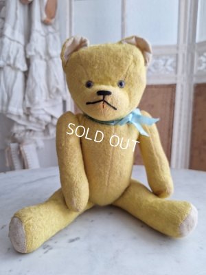 画像2: フレンチテディベア