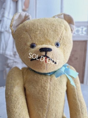 画像3: フレンチテディベア