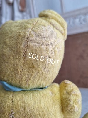 画像15: フレンチテディベア