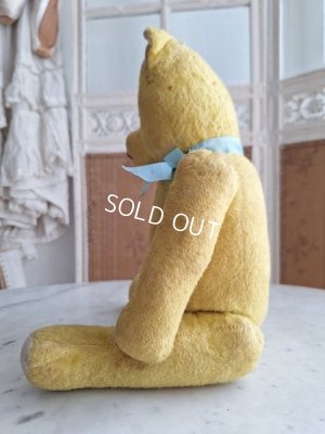 画像11: フレンチテディベア