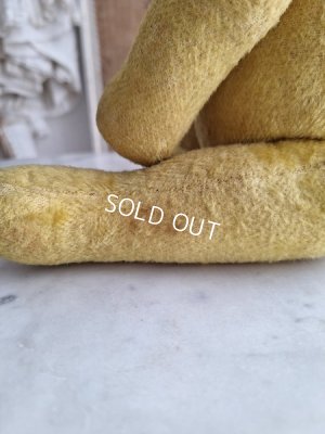 画像18: フレンチテディベア