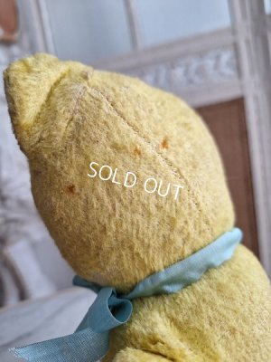 画像19: フレンチテディベア