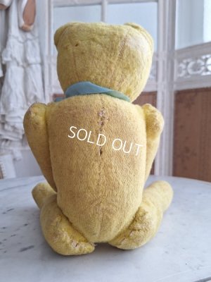 画像10: フレンチテディベア