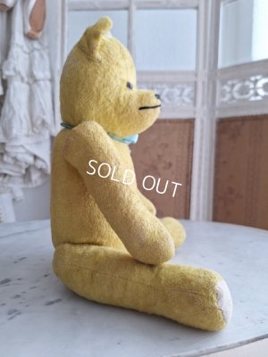 画像9: フレンチテディベア